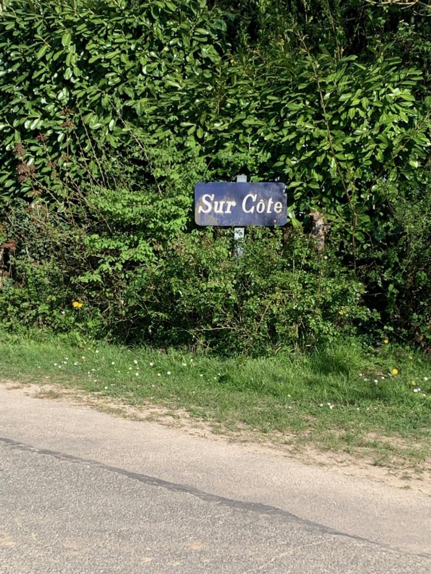 فيلا Sur Cote En Dombes Villette-sur-Ain المظهر الخارجي الصورة